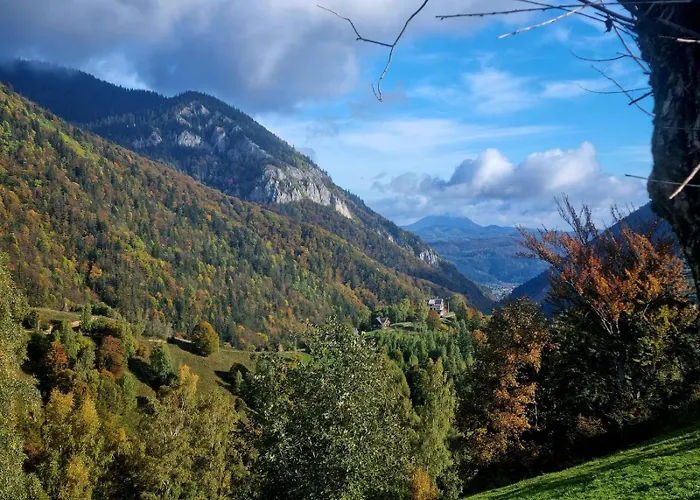 Mosorel